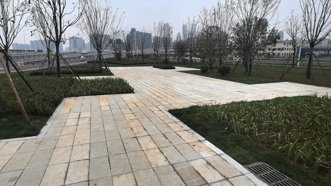 南昌新建区礼步湖广场改造完工焕新亮相,提升老城活力 南昌新建区礼步湖广场改造完工焕新亮相,提升老城活力